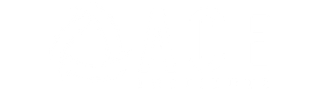 luiz-pinheiro-ace-institute